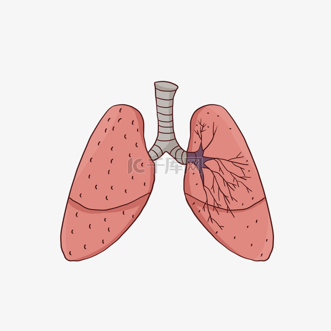 慢阻肺疾病