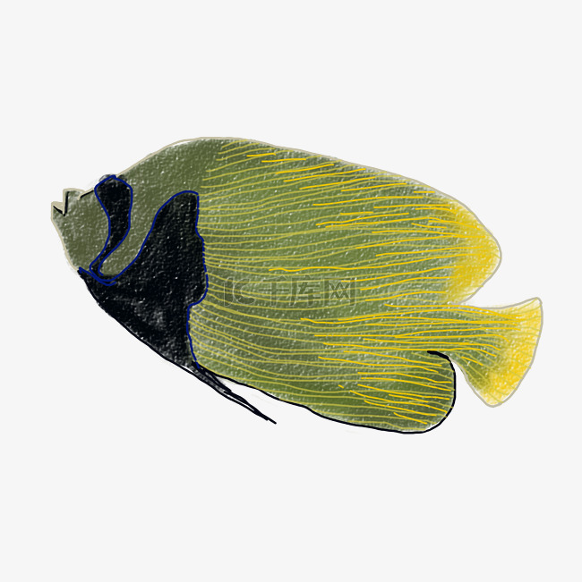 海洋生物黄色小鱼