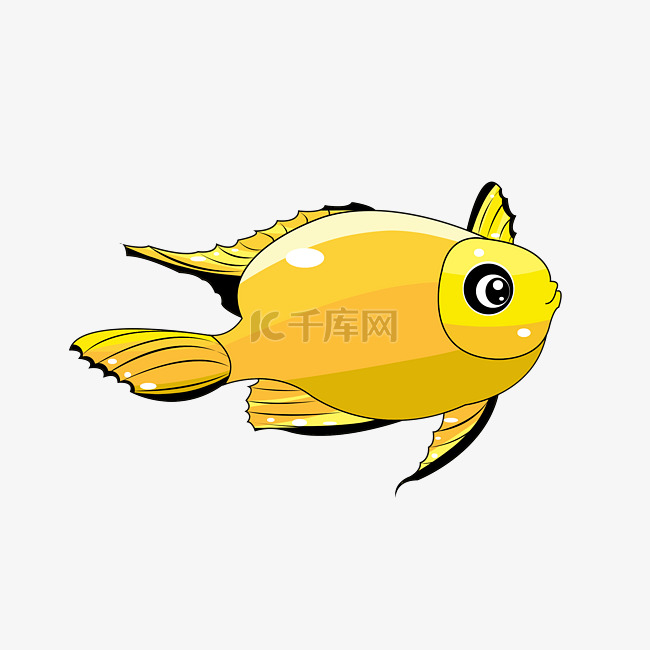 黄色观赏鱼类