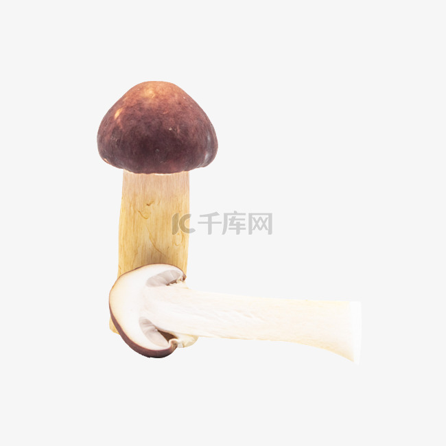 美味食材长蘑菇