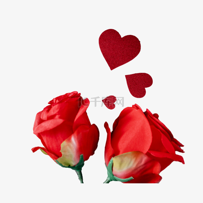 情人节玫瑰花红色爱心