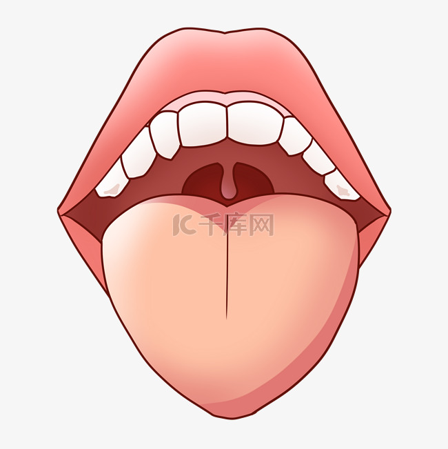 人体嘴巴舌头器官