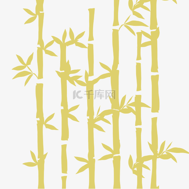 竹子植物纹理
