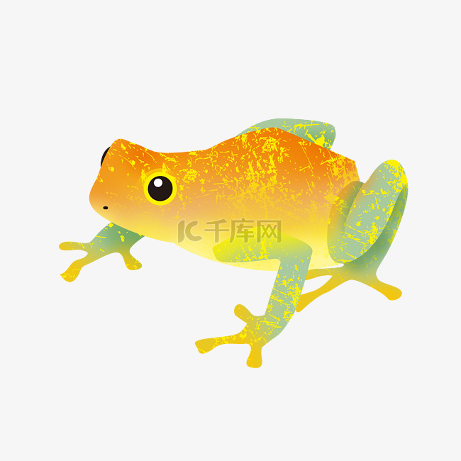 黄色跳跃青蛙