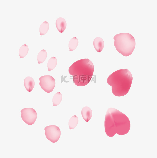粉色高清玫瑰花瓣装饰