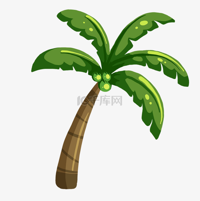 绿色椰子树 