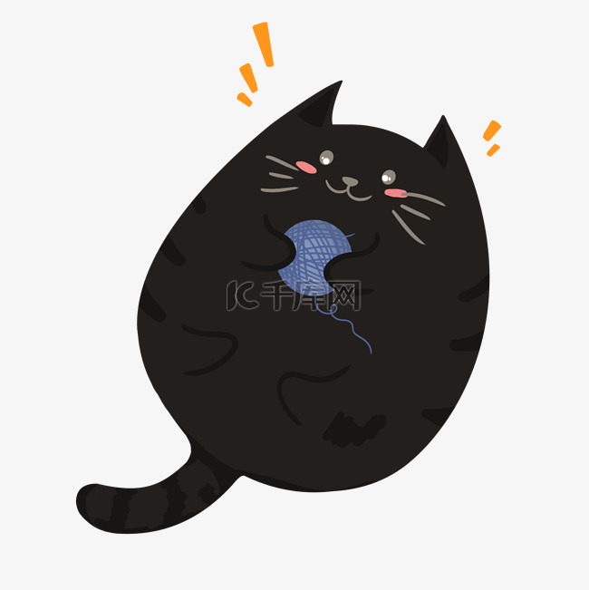 小动物黑猫