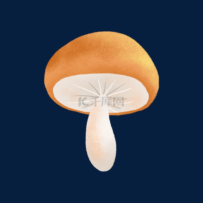 红色的小蘑菇