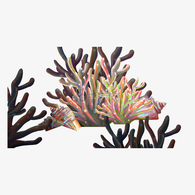 水草珊瑚