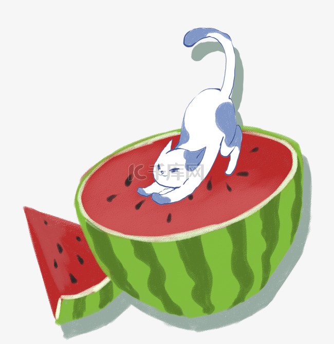 一只猫咪水果