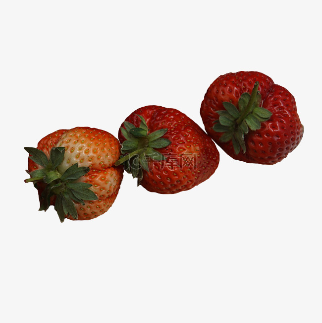 实拍种植三个大草莓
