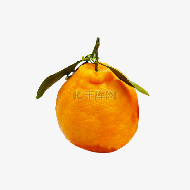 水果丑橘