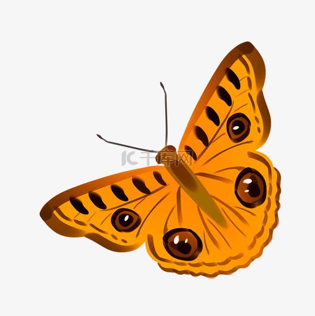 飞翔的橙色蝴蝶插图
