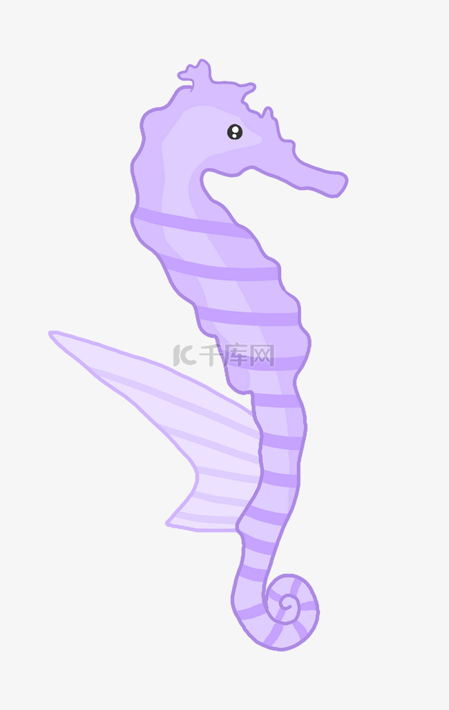 紫色海马生物