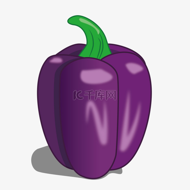紫色的大辣椒