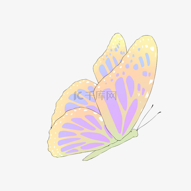 飞舞的黄色蝴蝶插画