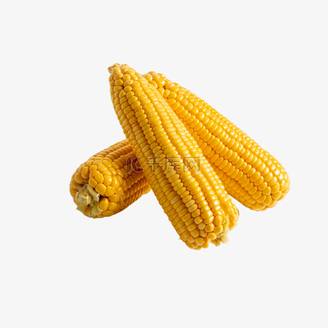 农副产品棚拍三个玉米室内