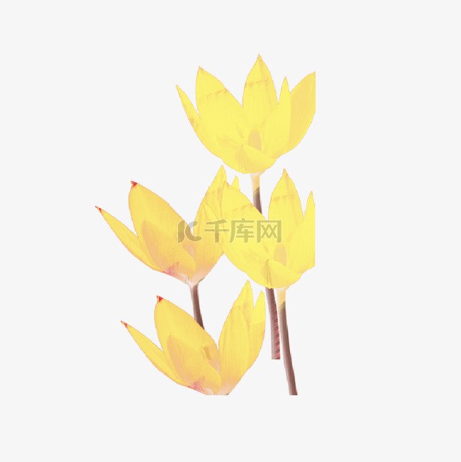 手绘卡通黄色的花朵免扣元素