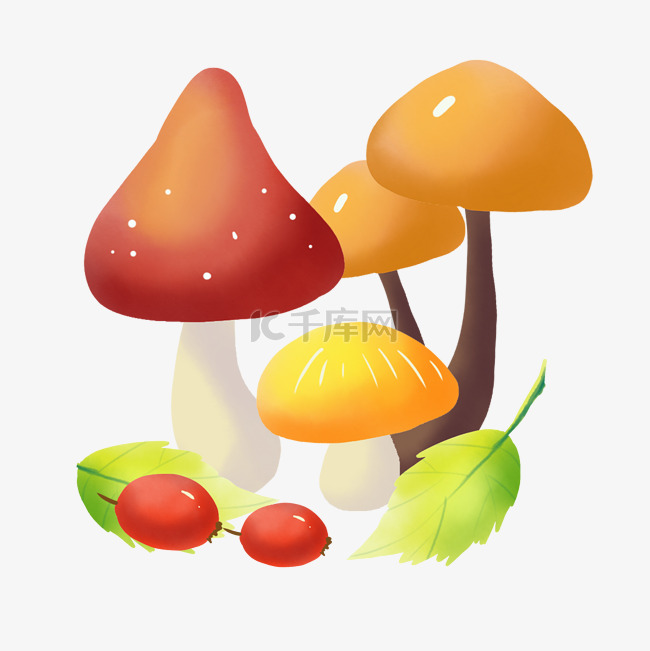 秋季立秋蘑菇