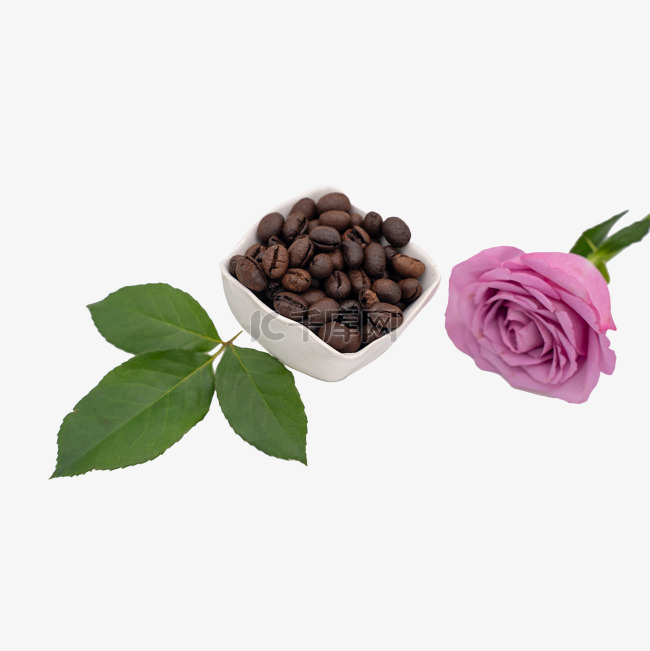 咖啡豆和玫瑰花绿叶