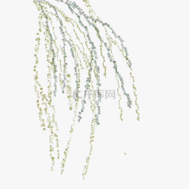 绿色植物垂柳