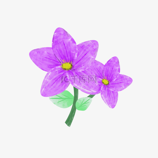 彩绘紫色花朵插画