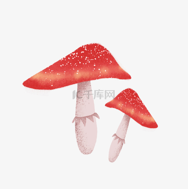 两个红色的蘑菇