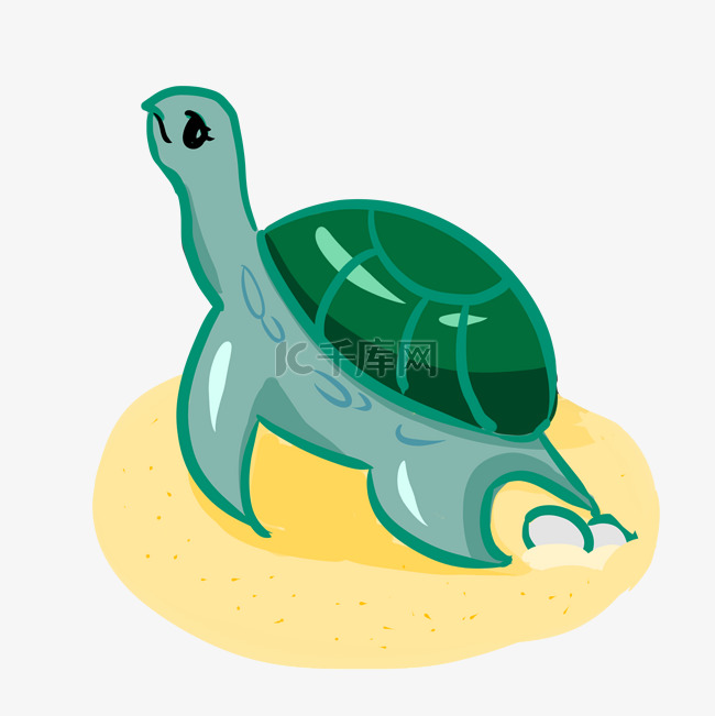 沙滩小海龟