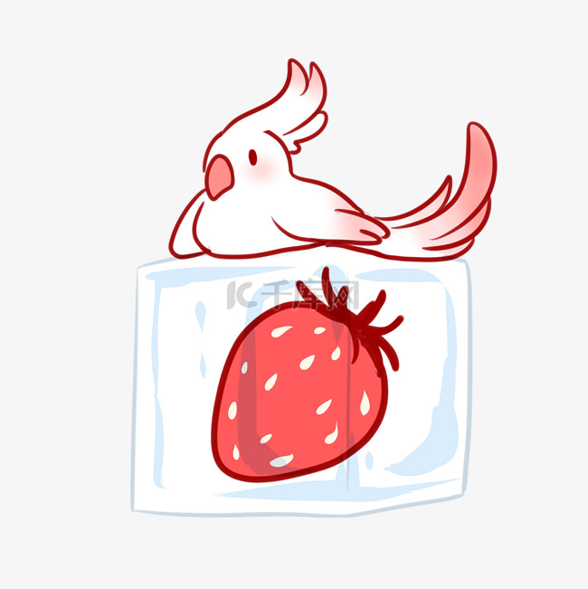 鹦鹉草莓冰块