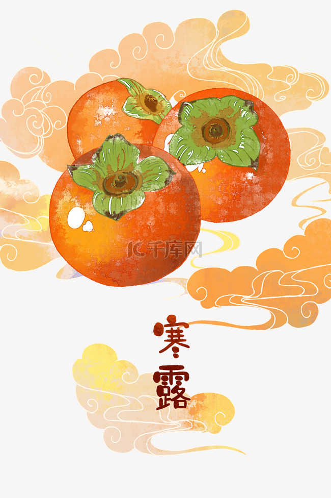 寒露节气柿子插画