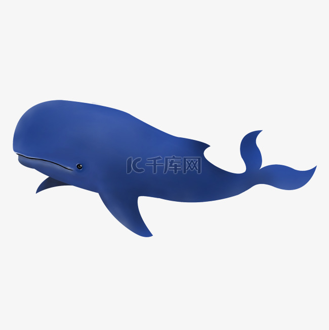 座头鲸海洋生物