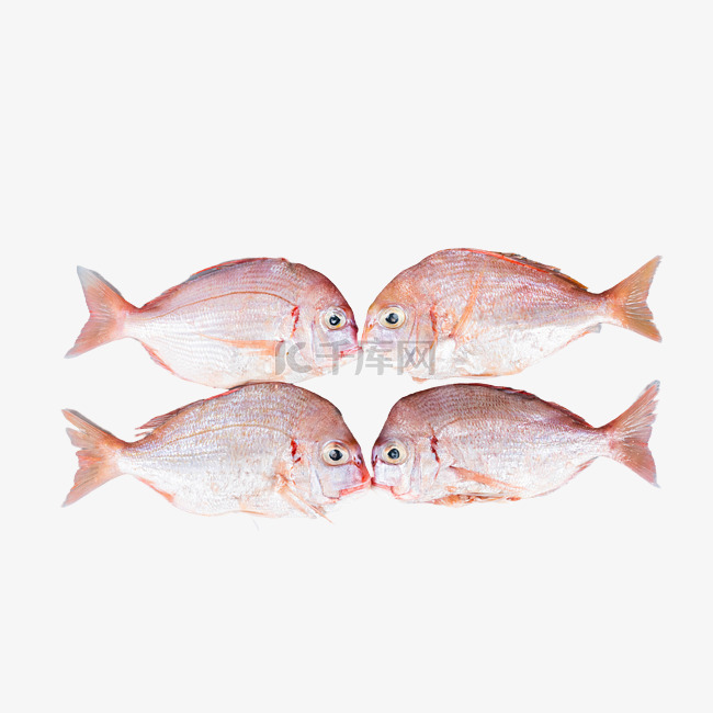 日本料理红立鱼
