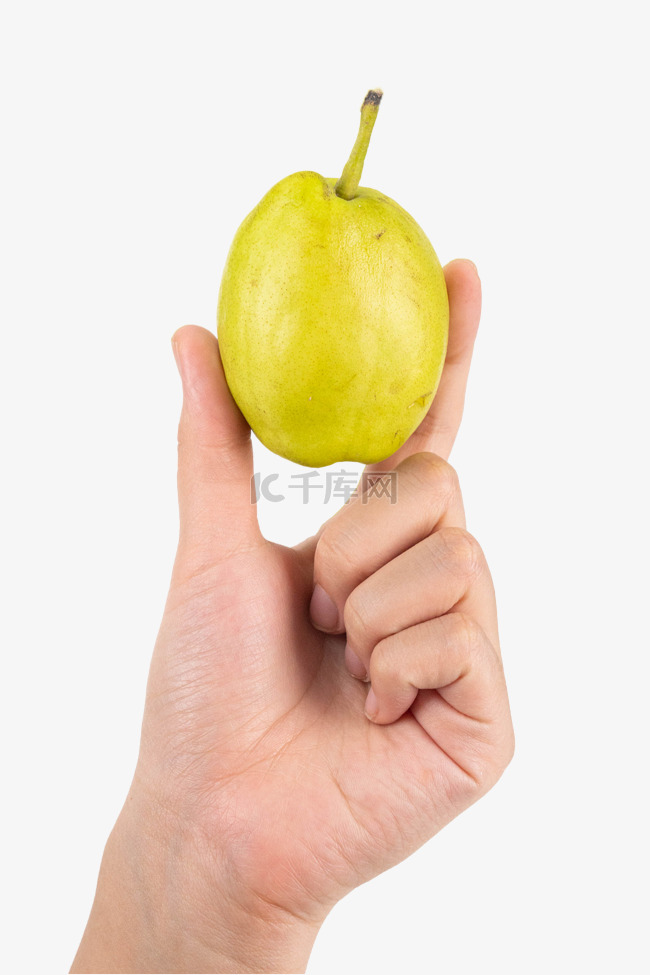手举梨子脆梨