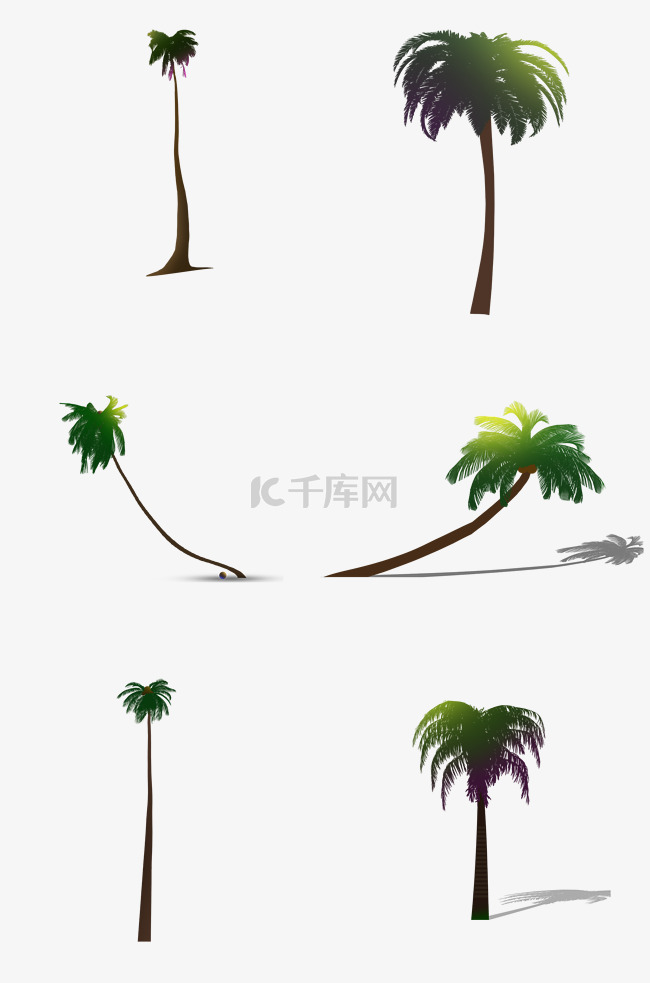夏日椰子树