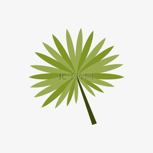热带植物叶片绿植矢量图PNG图