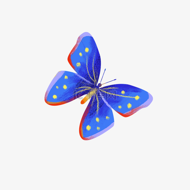 手绘蓝色蝴蝶图案