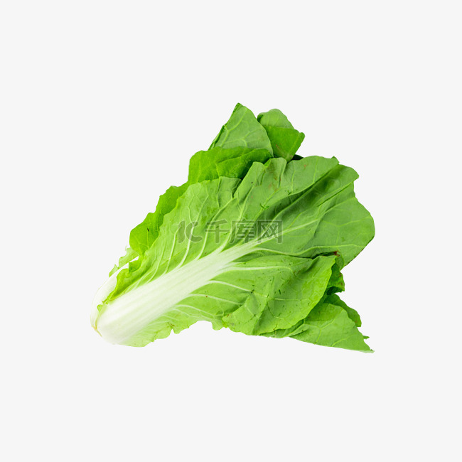 绿色蔬菜奶白菜素材图片免费下载_高清免抠摄影psd_千库网(图片