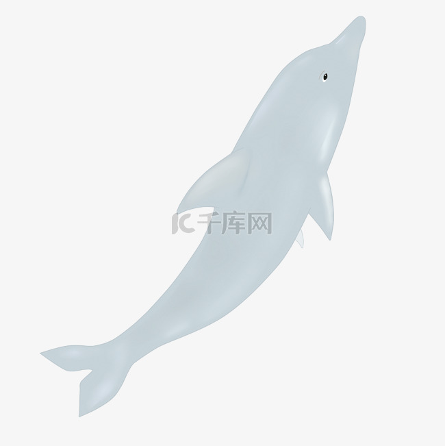 白色游泳海豚