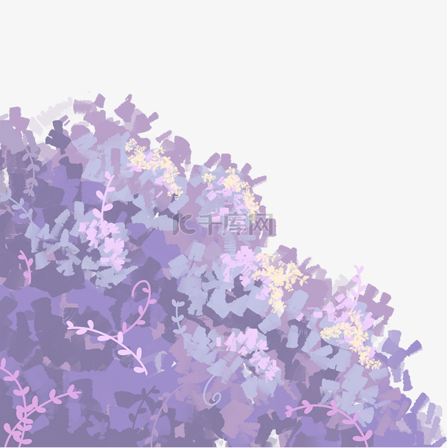 紫色植物灌木