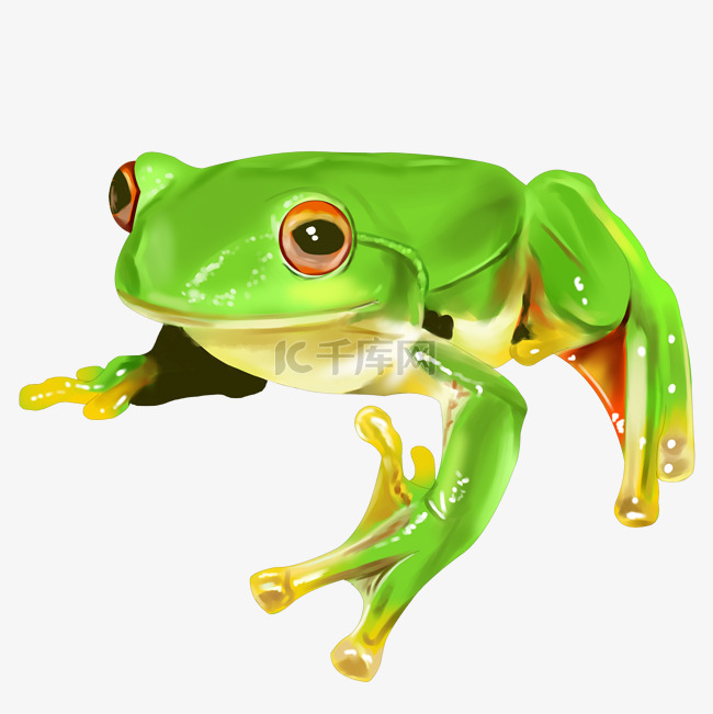 一只绿色的青蛙