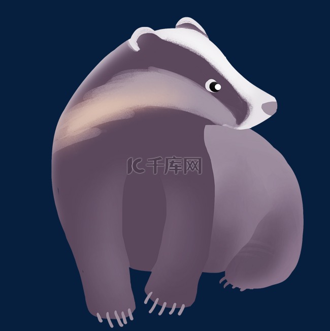 可爱灰色猪獾