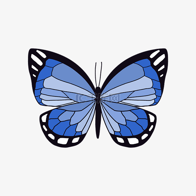 蓝色蝴蝶 