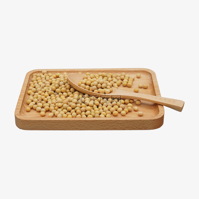 粮食农作物黄豆