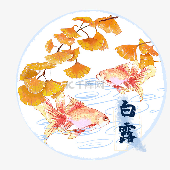 白露金鱼银杏叶水彩