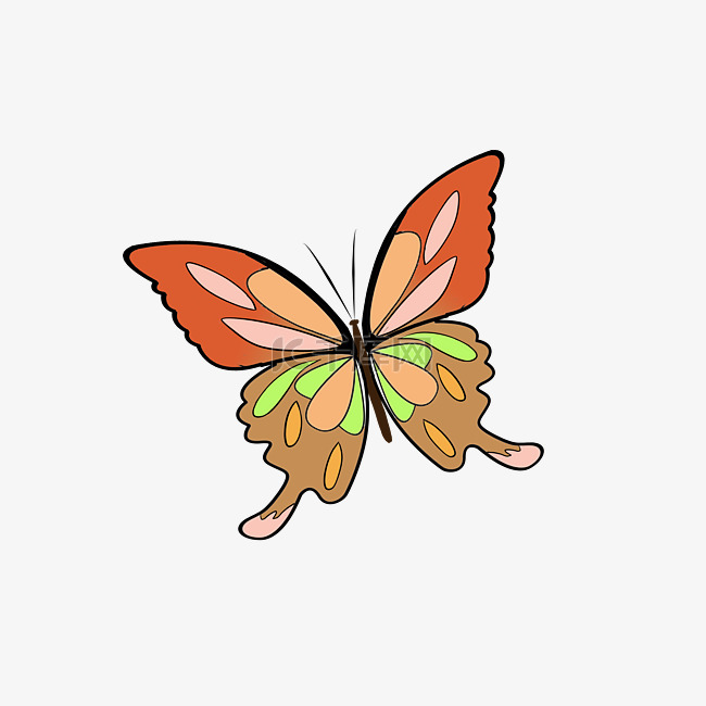 一只彩色蝴蝶插图
