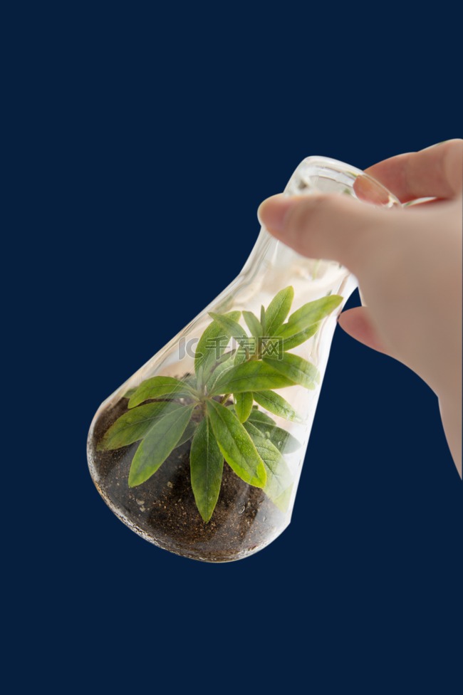 植物实验瓶