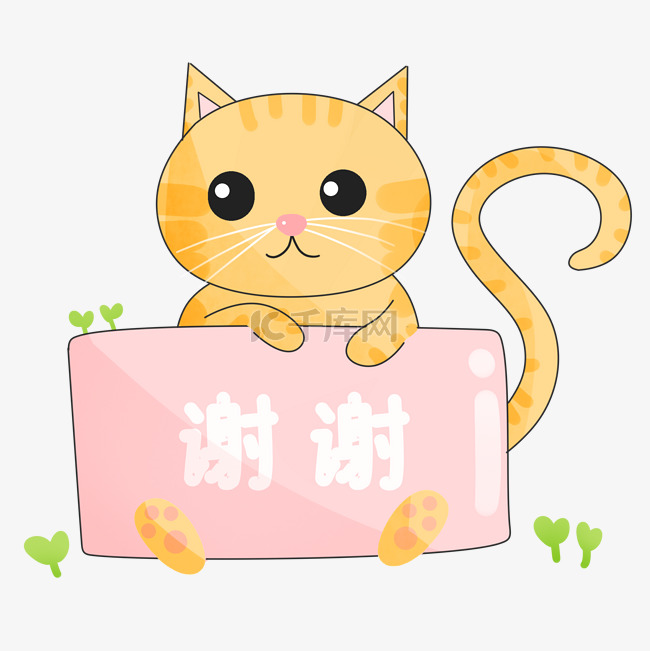 谢谢小猫