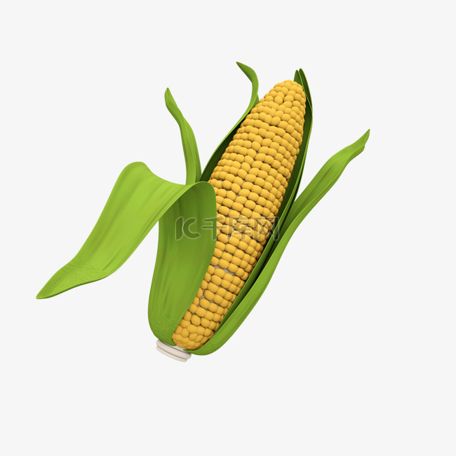 玉米农作物粮食