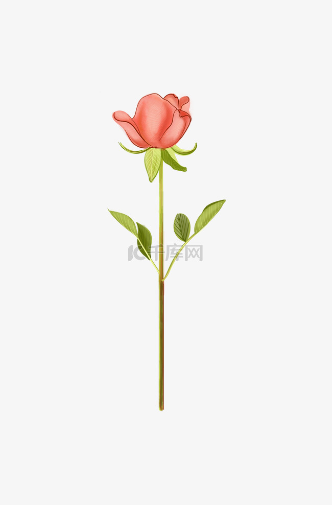 红花粉红手绘元素玫瑰