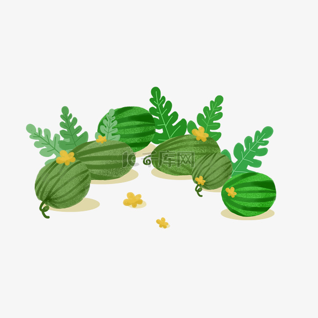 绿色西瓜装饰插画叶子黄花